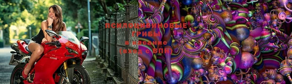 ALPHA PVP Алзамай